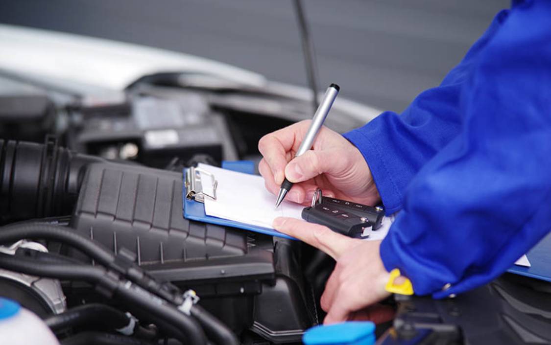 Killmore Plant Services